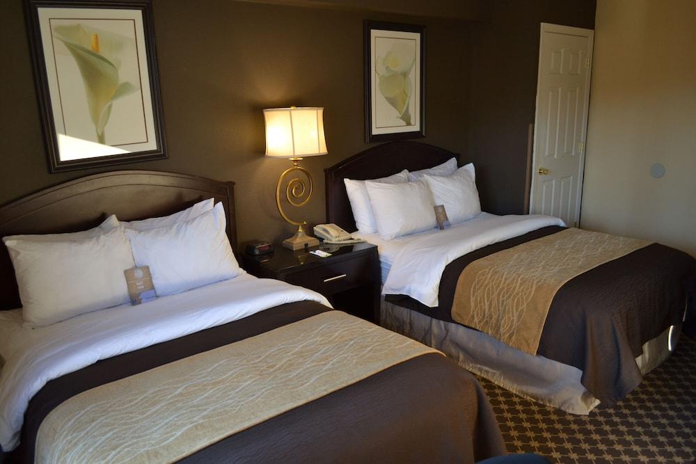 Quality Inn Ithaca - University Area Bagian luar foto