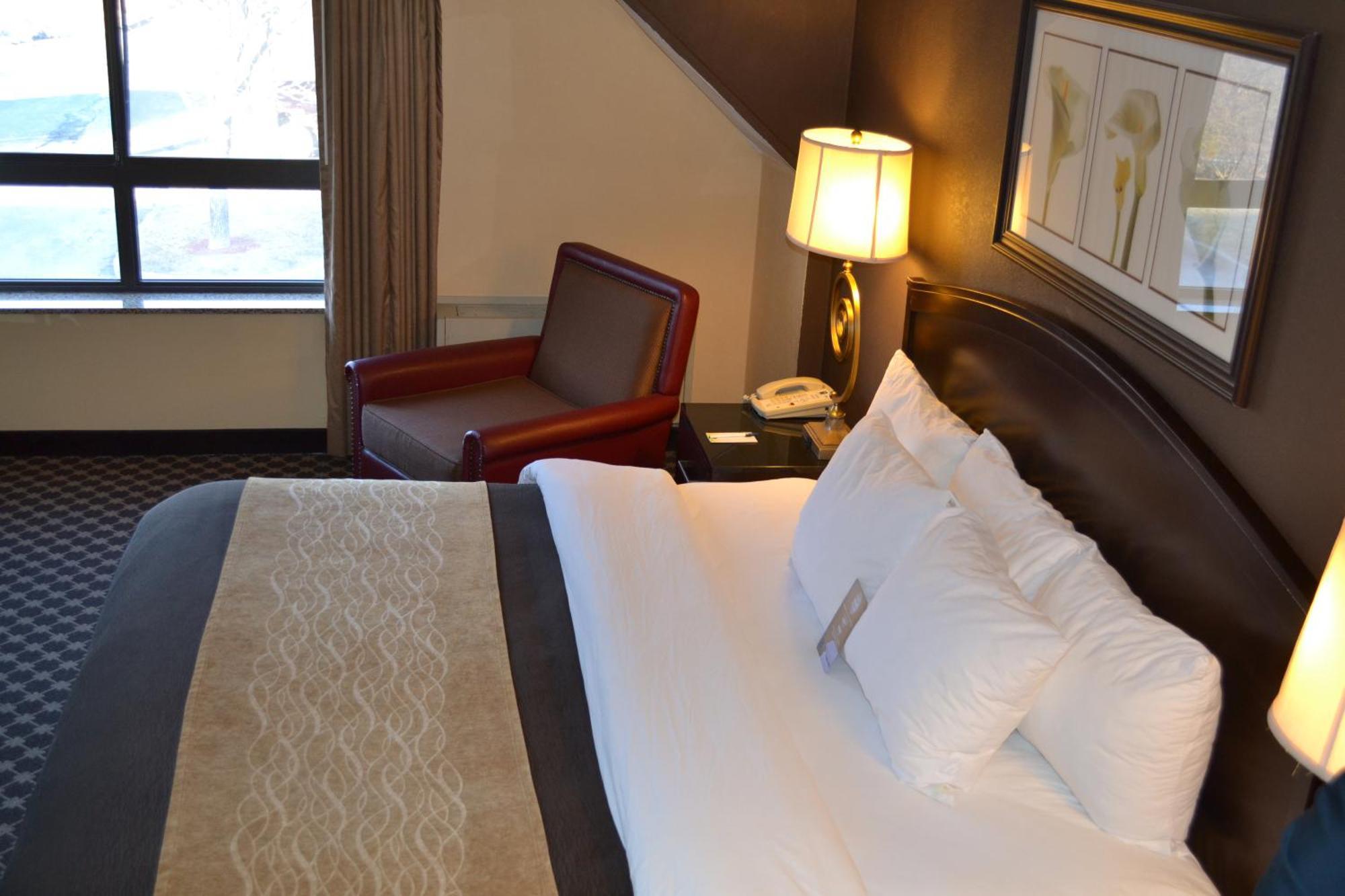 Quality Inn Ithaca - University Area Ruang foto